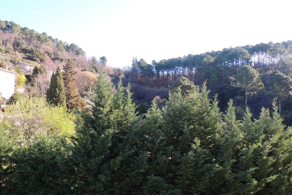 Les Chataigniers Appartement Meuble Saint-Sebastien  Bagian luar foto