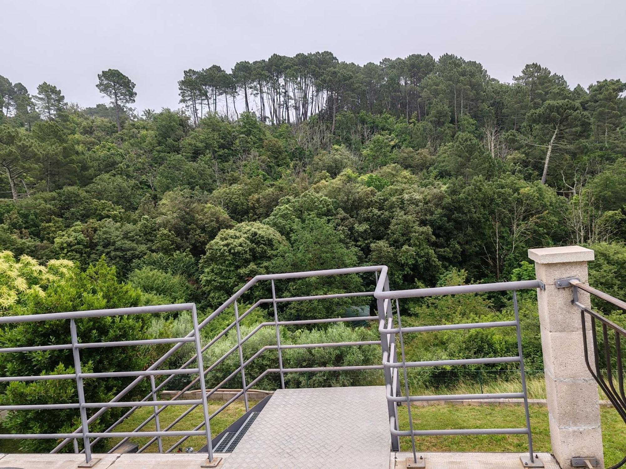 Les Chataigniers Appartement Meuble Saint-Sebastien  Bagian luar foto